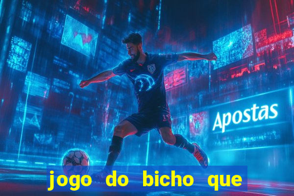 jogo do bicho que paga no pix